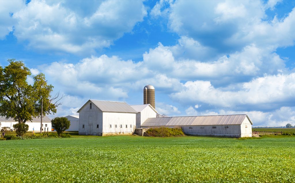 h5039-modern-dairy-farm-in-east-germany-landlords-agrar-immobilien