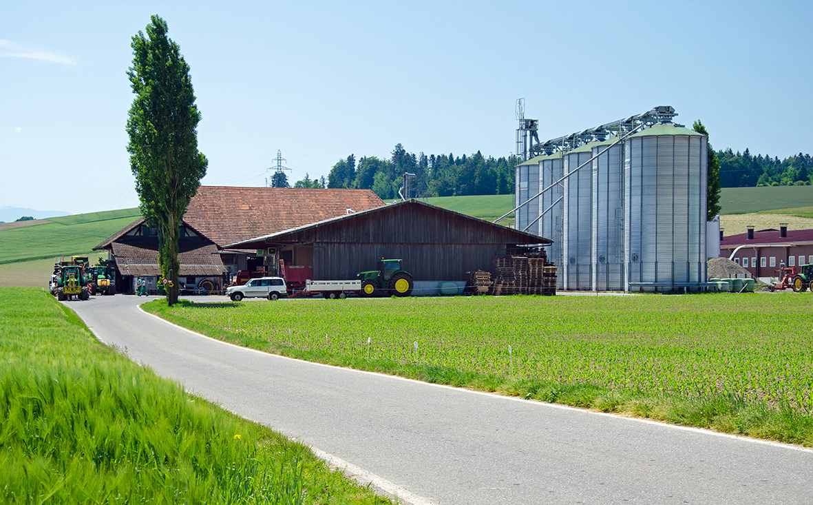 Milchviehanlage in Brandenburg kaufen