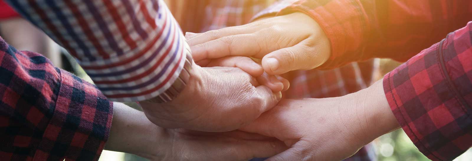 SERVICE 1 LANDLORDS Vermittlung und Betreuung landwirtschaftlicher Objekte jeder Art